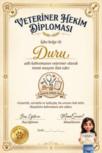 Diploma