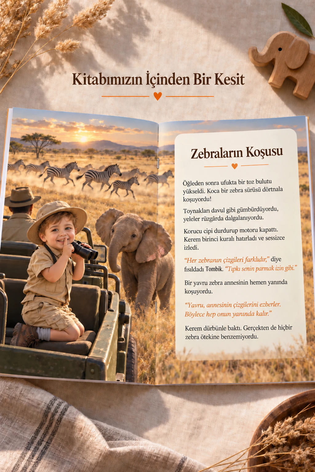 Safari kitabının içinden bir kesit: Zebraların Koşusu sayfası, zebra sürüsü ve yavru fil